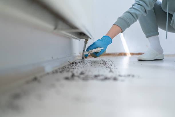 Best Pest Control for Homes  in Candlewick Lake, IL